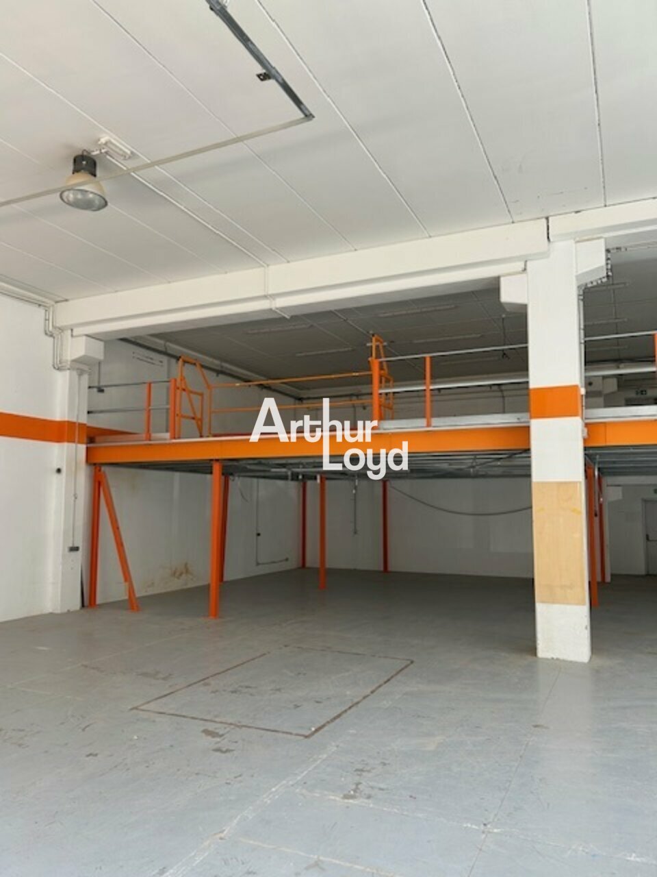 ARTHUR LOYD NICE SOPHIA LOCATION-LOCAL D'ACTIVITE-MOUANS_SARTOUX-06