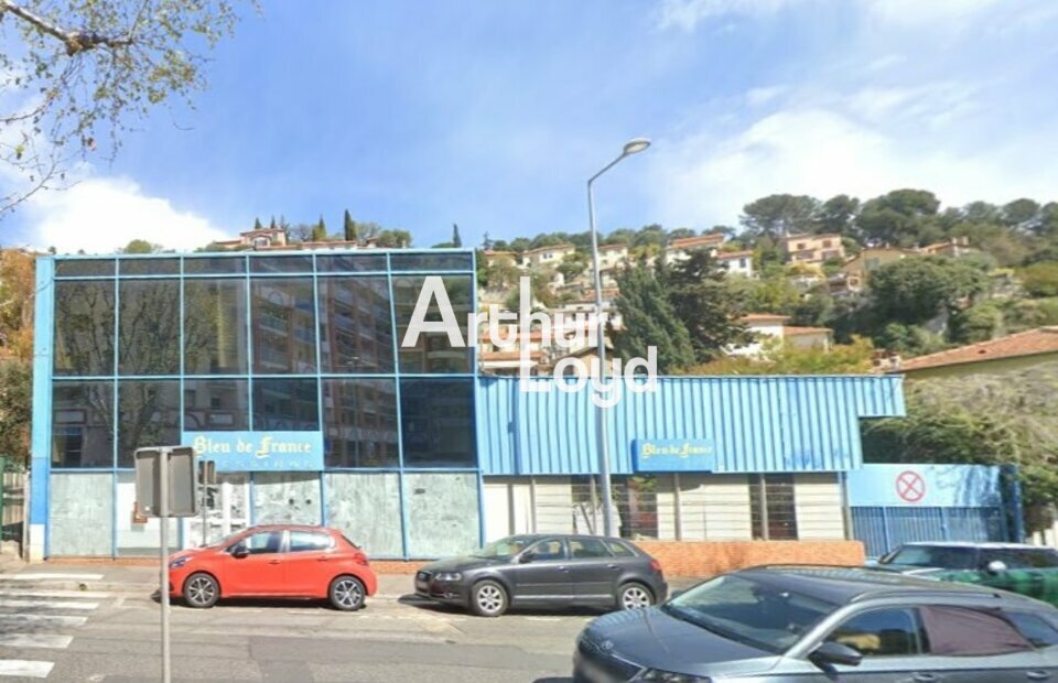 ARTHUR LOYD NICE SOPHIA LOCATION-LOCAL D'ACTIVITE-NICE-06