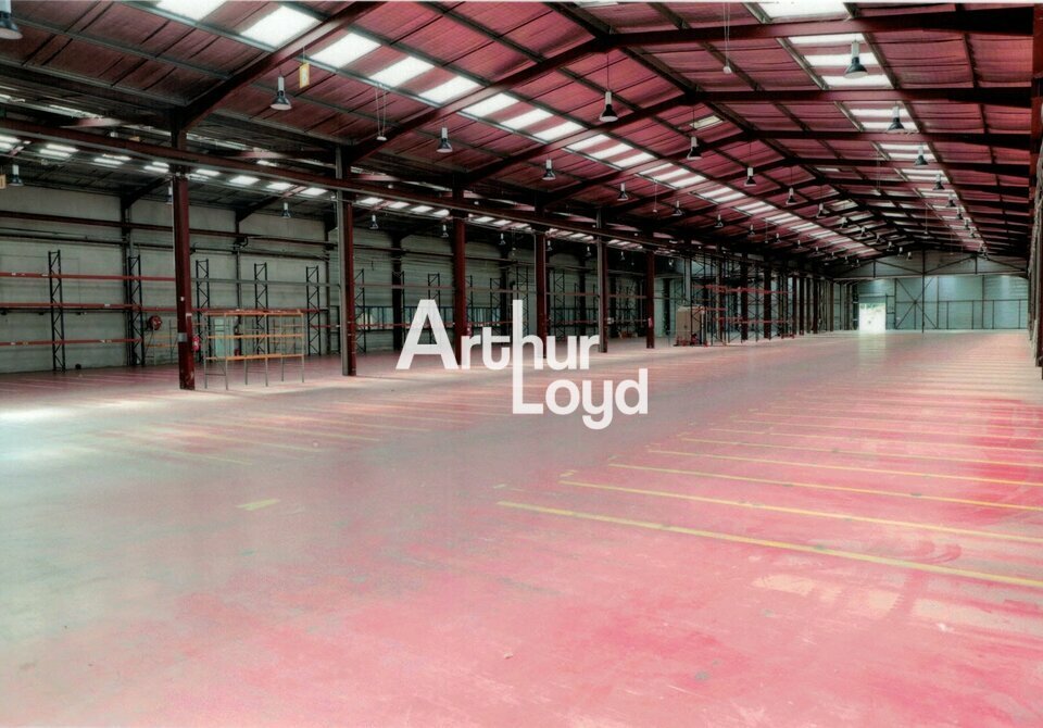 ARTHUR LOYD NICE SOPHIA LOCATION-LOCAL D'ACTIVITE-CONTES-06