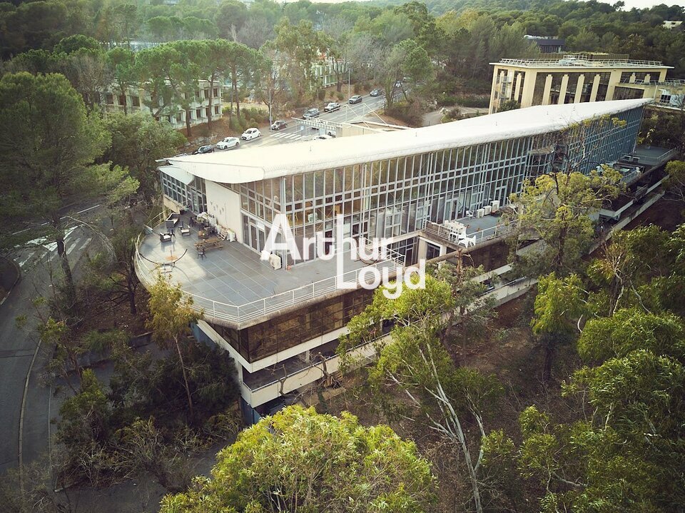 ARTHUR LOYD NICE SOPHIA LOCATION-BUREAUX-SOPHIA_ANTIPOLIS-06