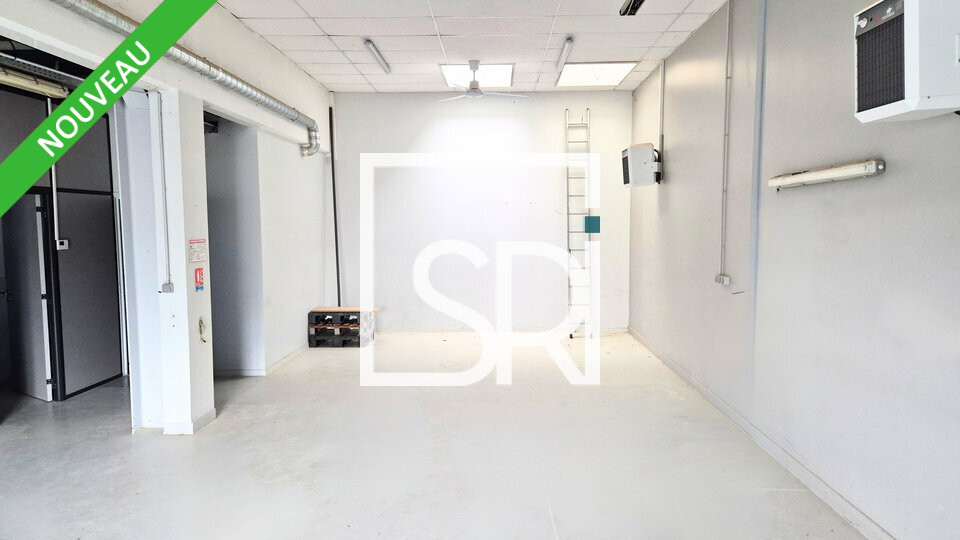 SRI LOCATION-LOCAL D'ACTIVITE-COURNON_D'AUVERGNE-63