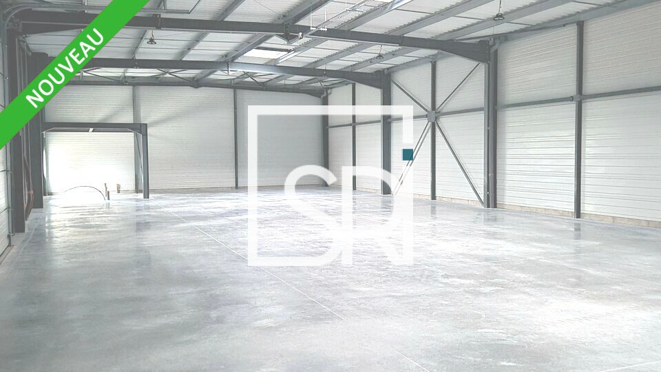 SRI LOCATION-LOCAL D'ACTIVITE-COURNON_D'AUVERGNE-63