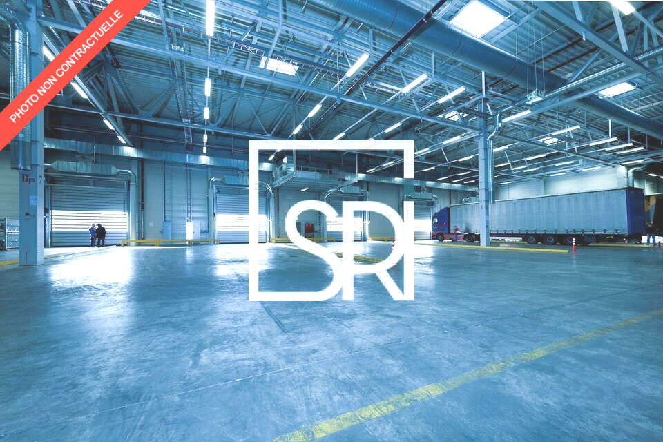 SRI LOCATION-LOCAL D'ACTIVITE-COURNON_D'AUVERGNE-63