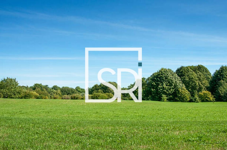 SRI VENTE-TERRAIN-CUSSET-03