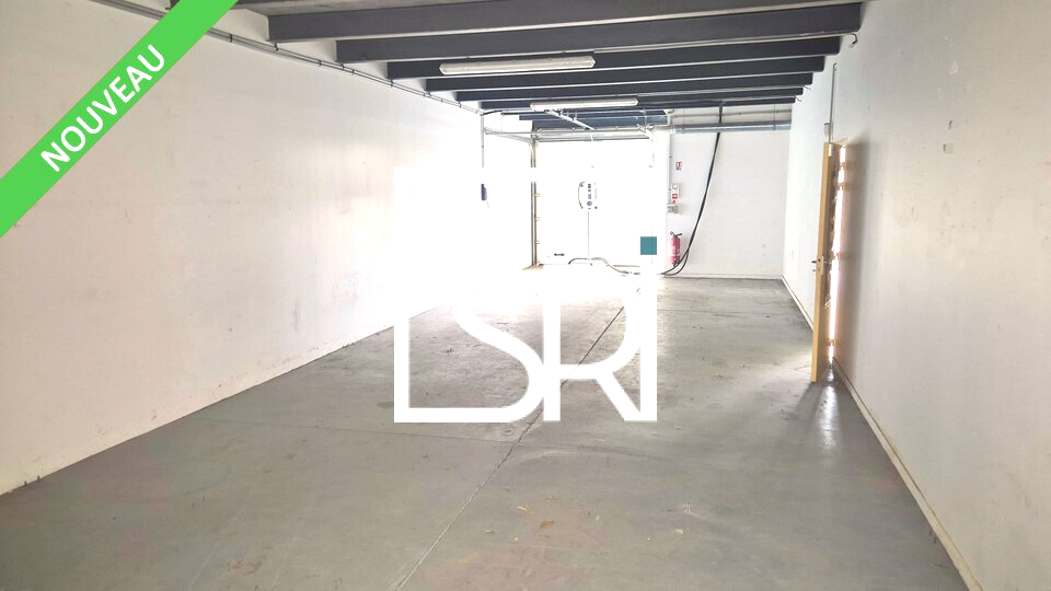 SRI LOCATION-LOCAL D'ACTIVITE-COURNON_D'AUVERGNE-63