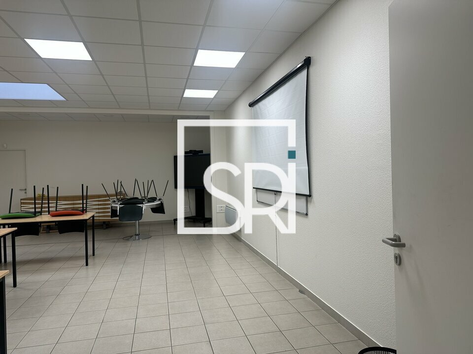 SRI VENTE-BUREAUX-CREUZIER-LE-NEUF-03