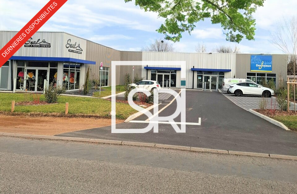 SRI LOCATION-LOCAL D'ACTIVITE-THIERS-63