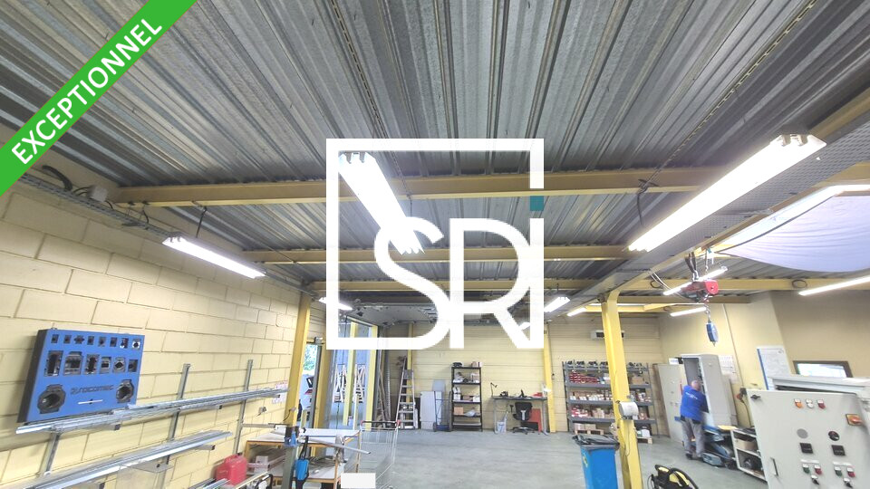 SRI VENTE-LOCAL D'ACTIVITE-RIOM-63