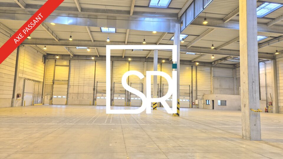 SRI LOCATION-LOCAL D'ACTIVITE-COURNON_D'AUVERGNE-63