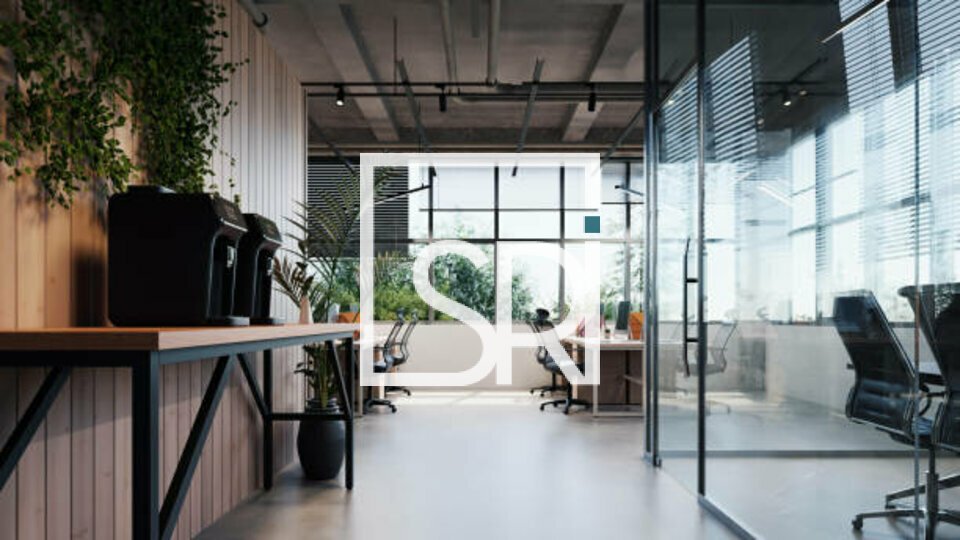 SRI LOCATION-LOCAL COMMERCIAL-VICHY-03