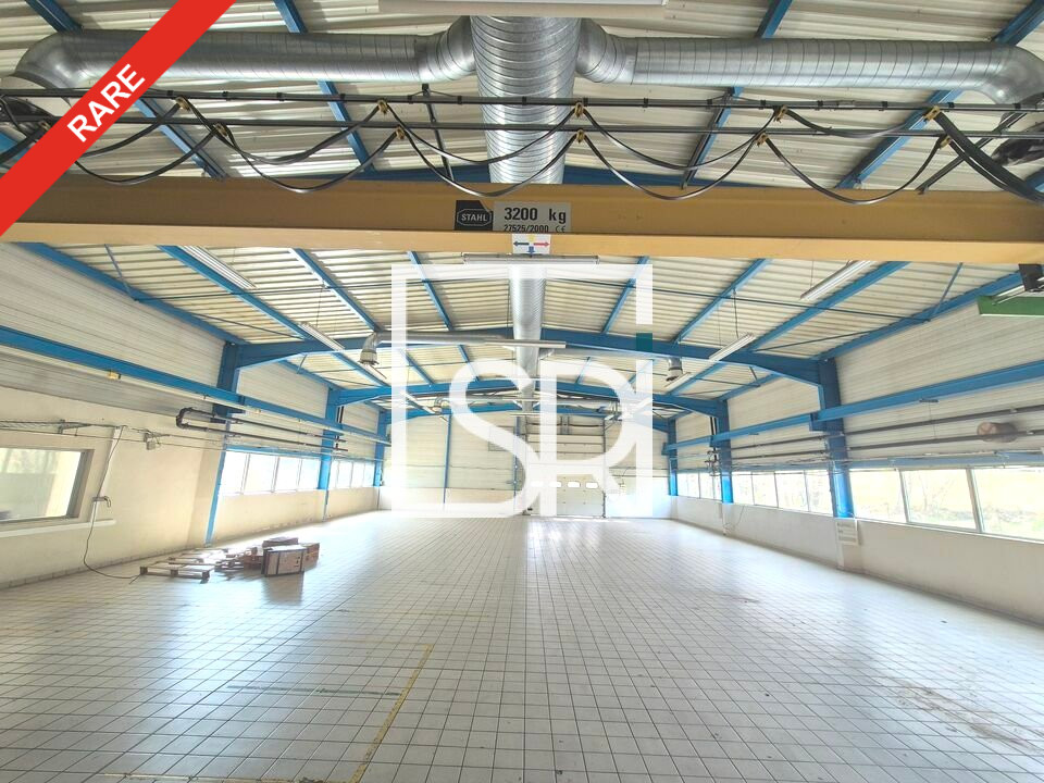 SRI VENTE-LOCAL D'ACTIVITE-CELLES_SUR_DUROLLE-63