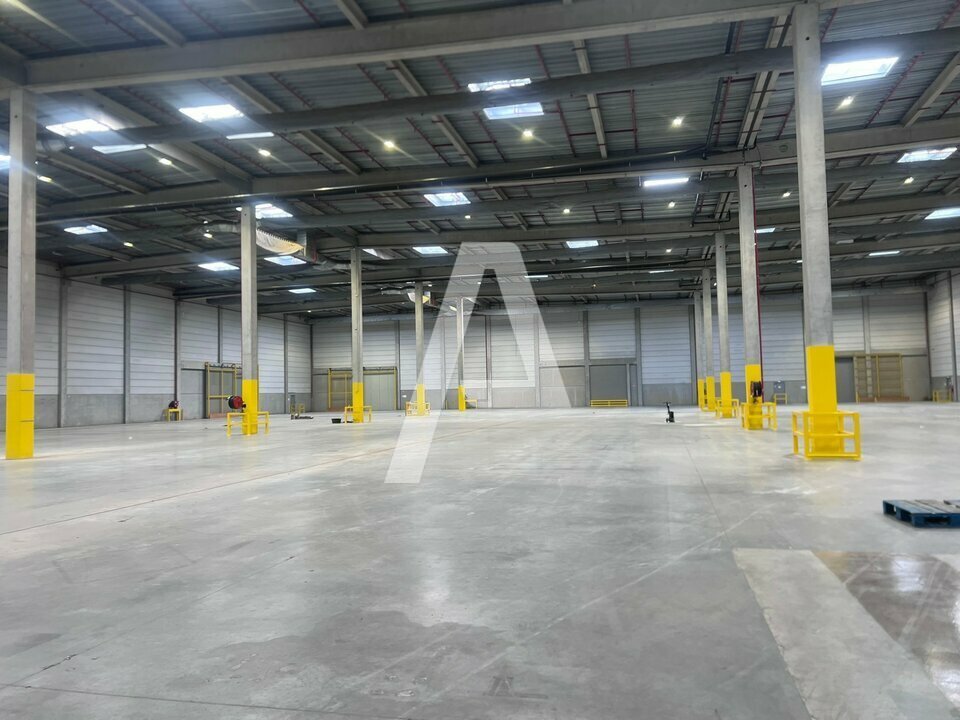 AGILYS LOCATION-LOCAL D'ACTIVITE-MOISSY_CRAMAYEL-77