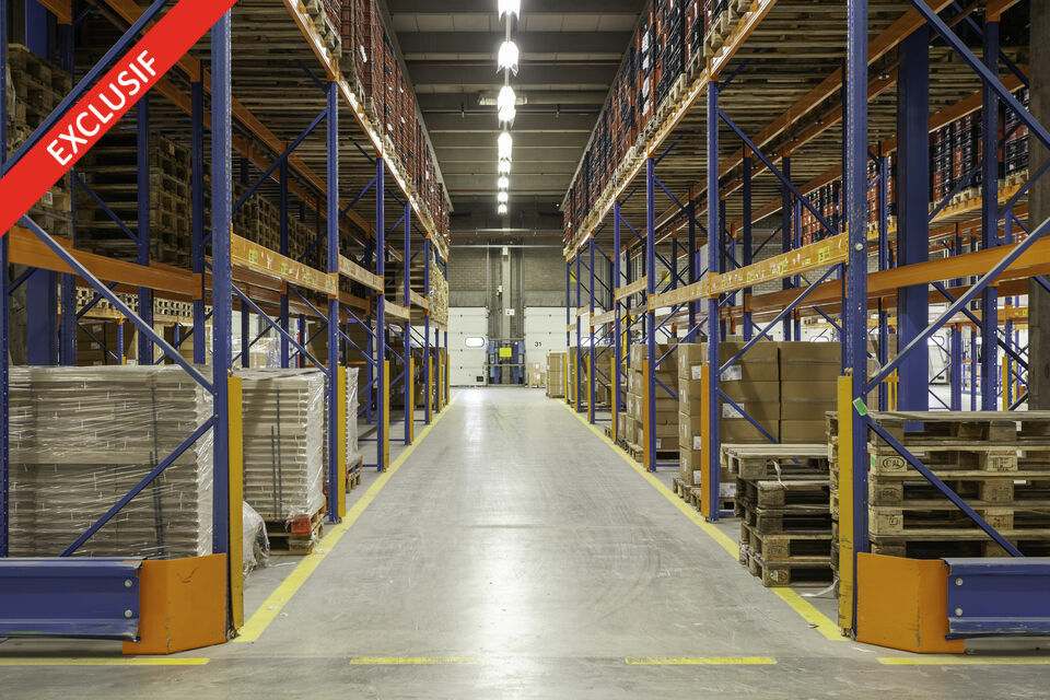 AGILYS LOCATION-LOCAL D'ACTIVITE-COLLEGIEN-77