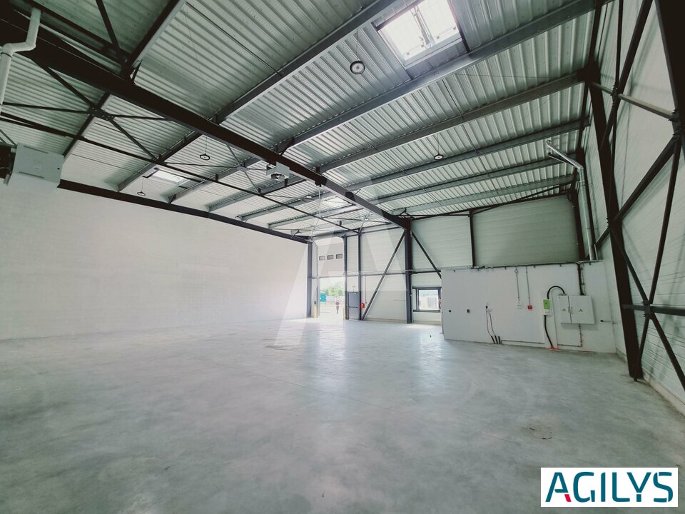 AGILYS LOCATION-LOCAL D'ACTIVITE-SAVIGNY_LE_TEMPLE-77