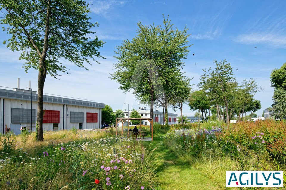 AGILYS LOCATION-LOCAL D'ACTIVITE-VILLEBON_SUR_YVETTE-91