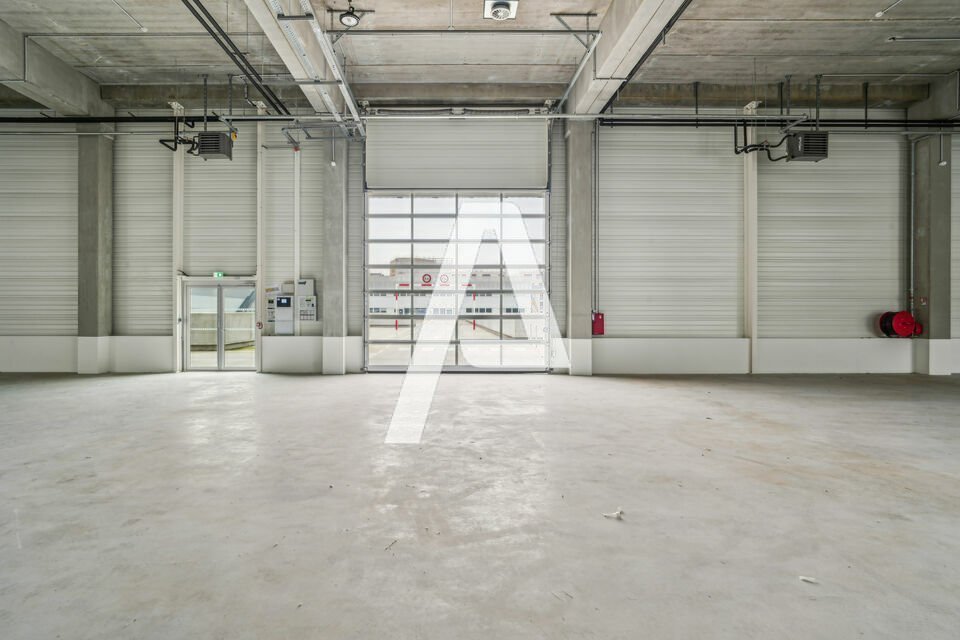 AGILYS LOCATION-LOCAL D'ACTIVITE-VITRY-SUR-SEINE-94