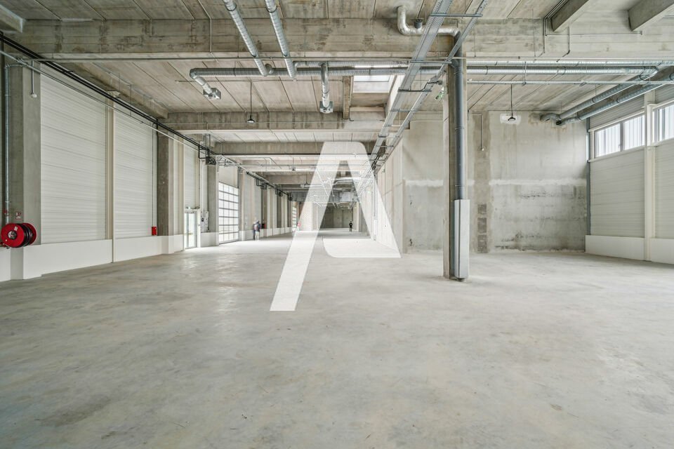 AGILYS LOCATION-LOCAL D'ACTIVITE-VITRY-SUR-SEINE-94