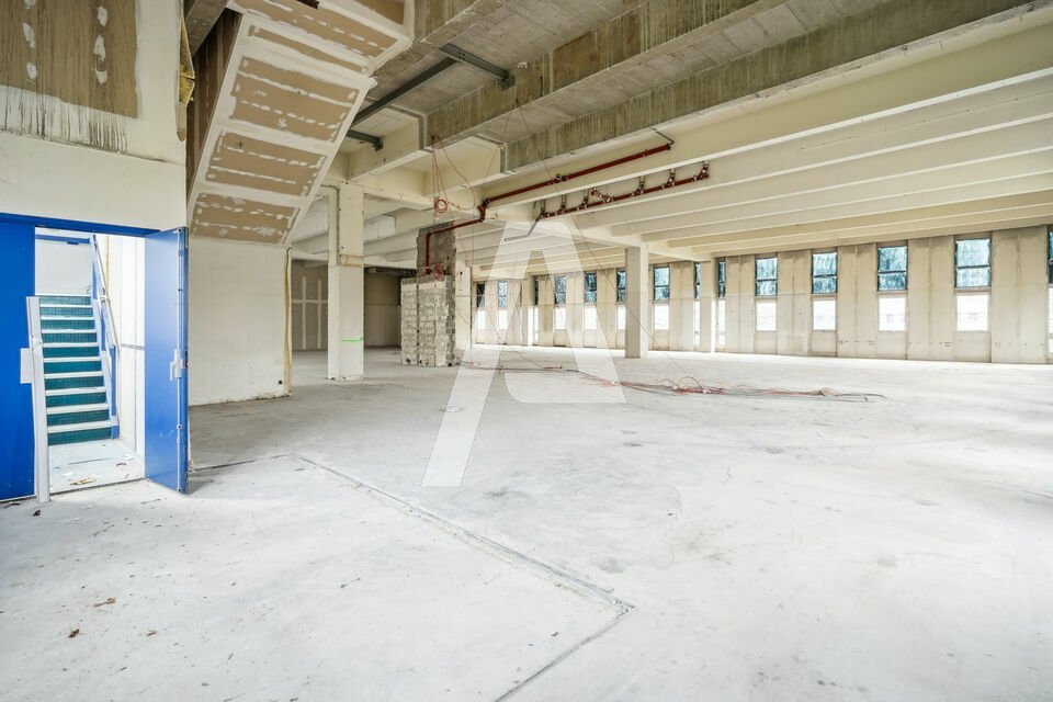 AGILYS LOCATION-LOCAL D'ACTIVITE-RUNGIS-94
