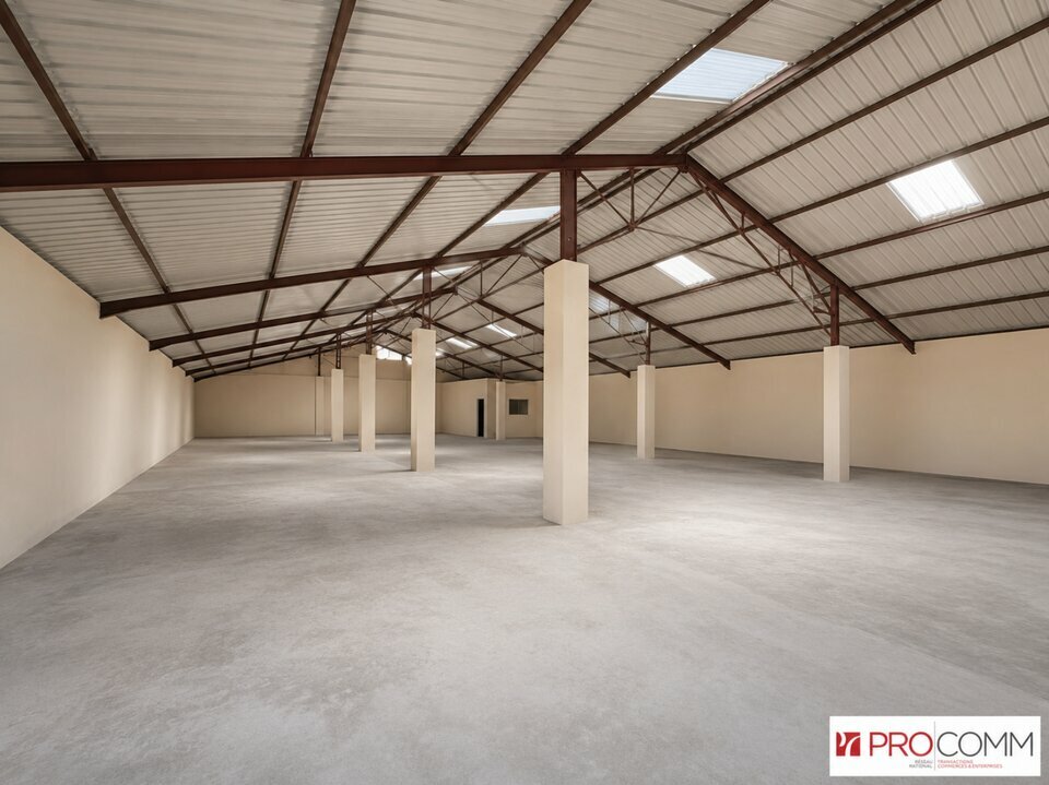 ALTEIRAC INVEST LOCATION-ENTREPOT-BELLEGARDE-30
