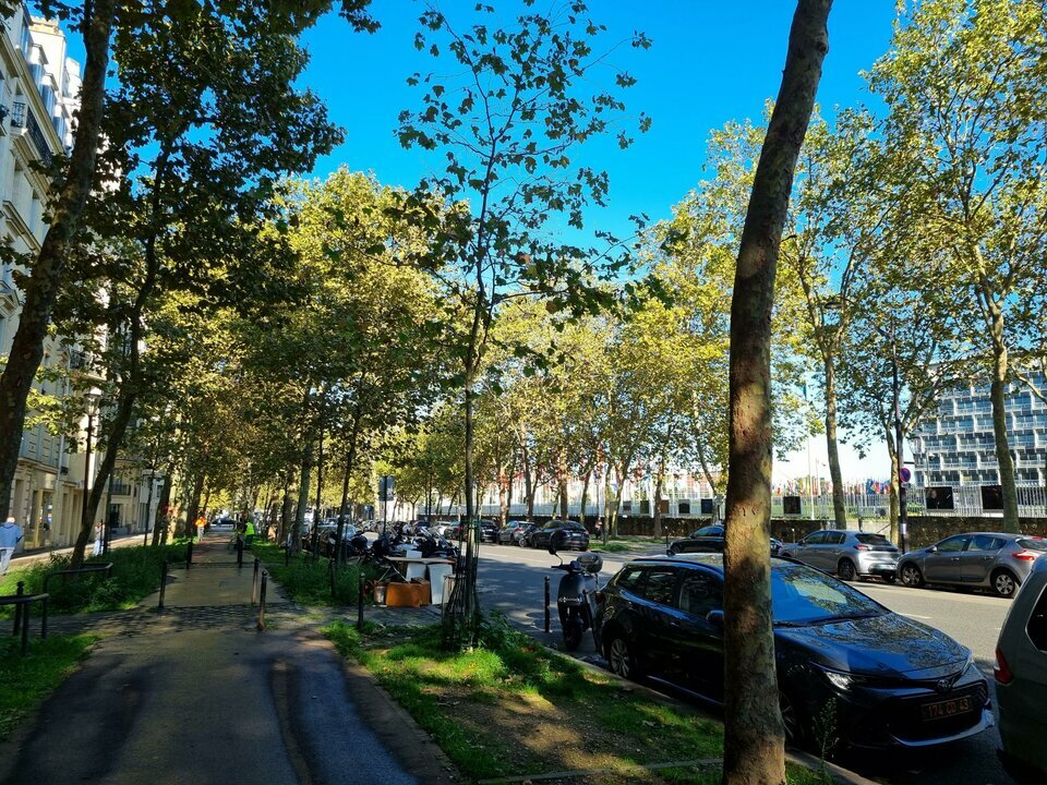 SEINE ET CITE - PARIS 3 VENTE-LOCAL COMMERCIAL-PARIS-75