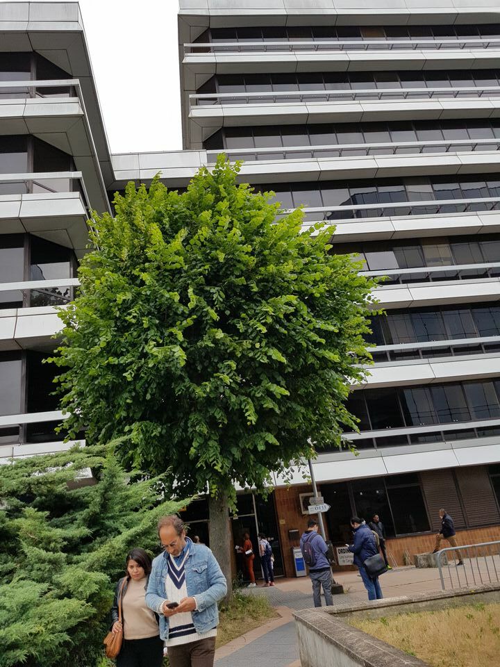 CONSULT'IMM - PARIS 15 LOCATION-LOCAL COMMERCIAL-CERGY-95