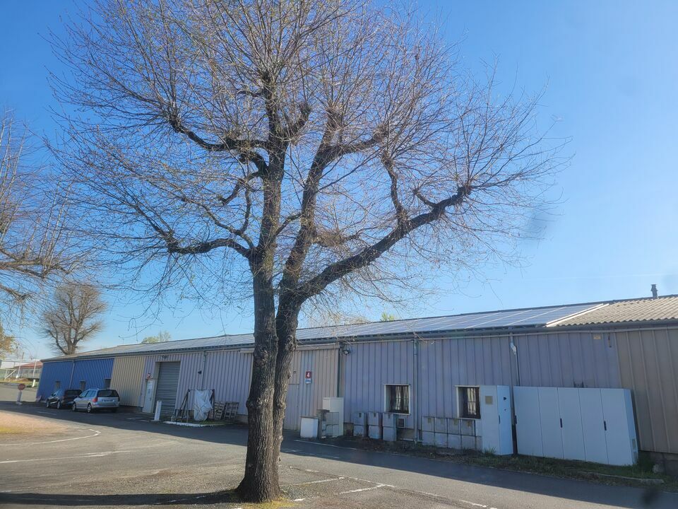 SAS VERSION LOCAL VENTE-LOCAL D'ACTIVITE-TREVOUX-01