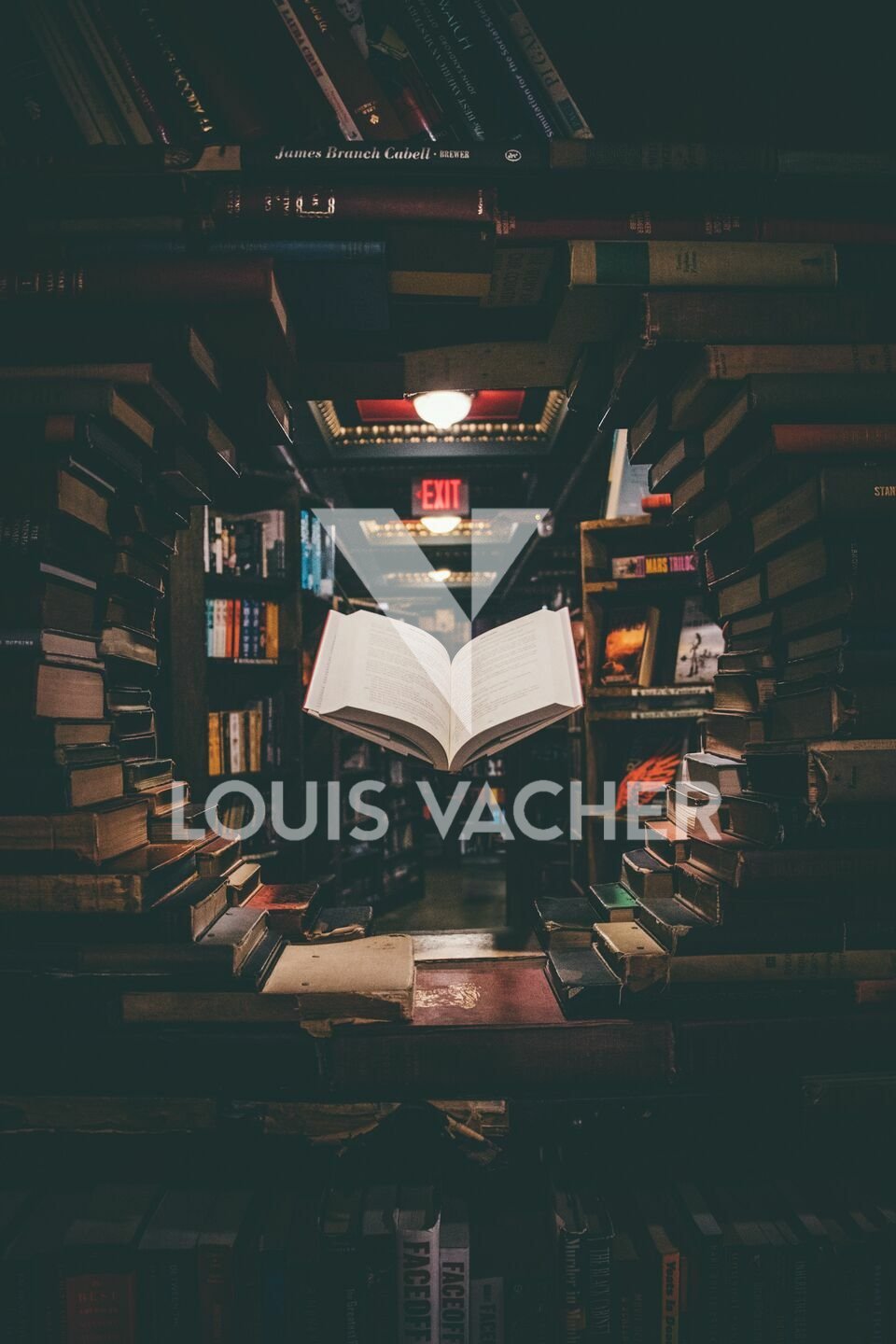 VACHER ENTREPRISE ET COMMERCE LOCATION-LOCAL COMMERCIAL-BORDEAUX-33