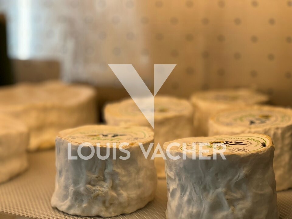 VACHER ENTREPRISE ET COMMERCE VENTE-LOCAL COMMERCIAL-BORDEAUX-33