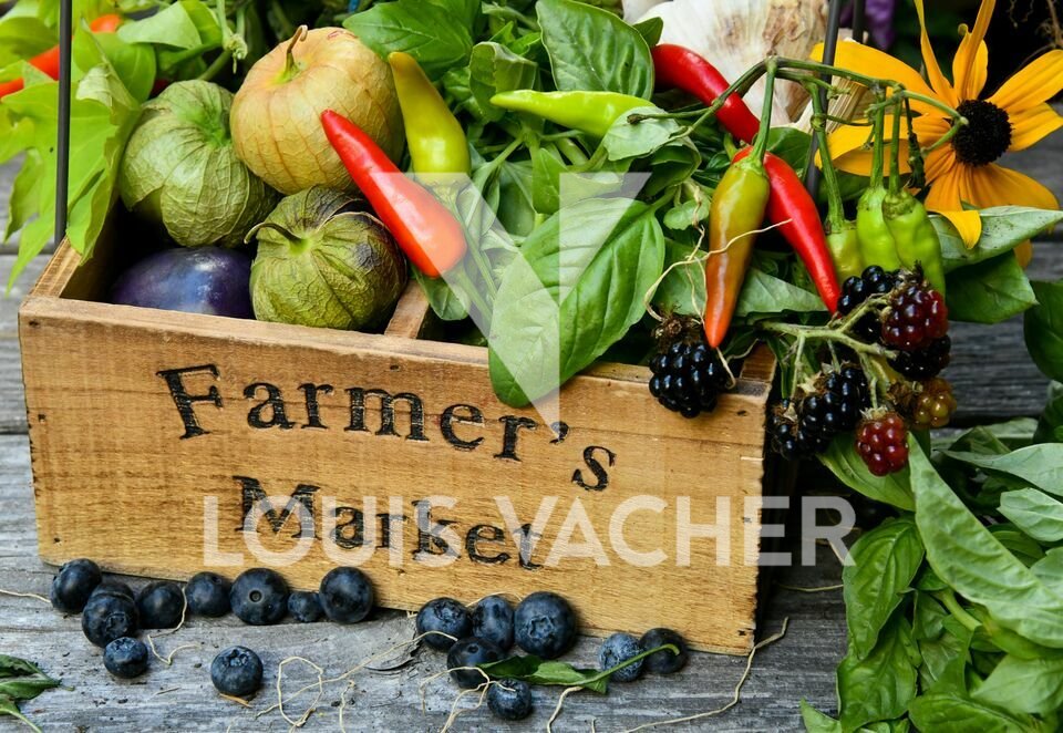 VACHER ENTREPRISE ET COMMERCE VENTE-LOCAL COMMERCIAL-BORDEAUX-33