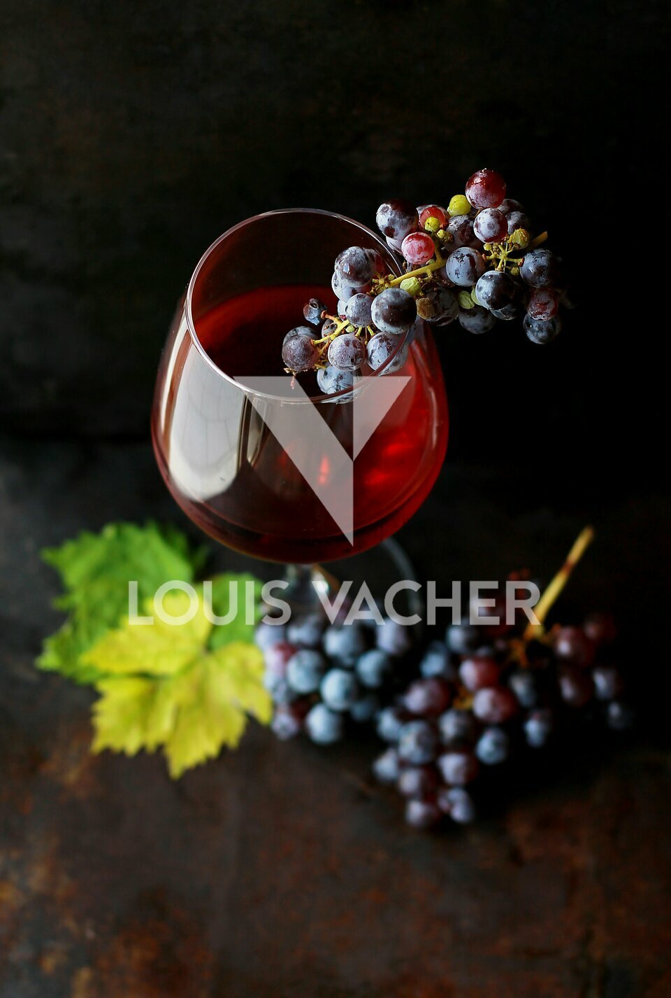 VACHER ENTREPRISE ET COMMERCE LOCATION-LOCAL COMMERCIAL-PAUILLAC-33