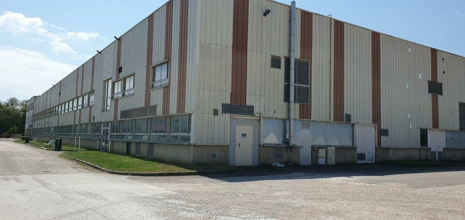 ARTHUR LOYD DIJON LOCATION-LOCAL D'ACTIVITE-GENLIS-21