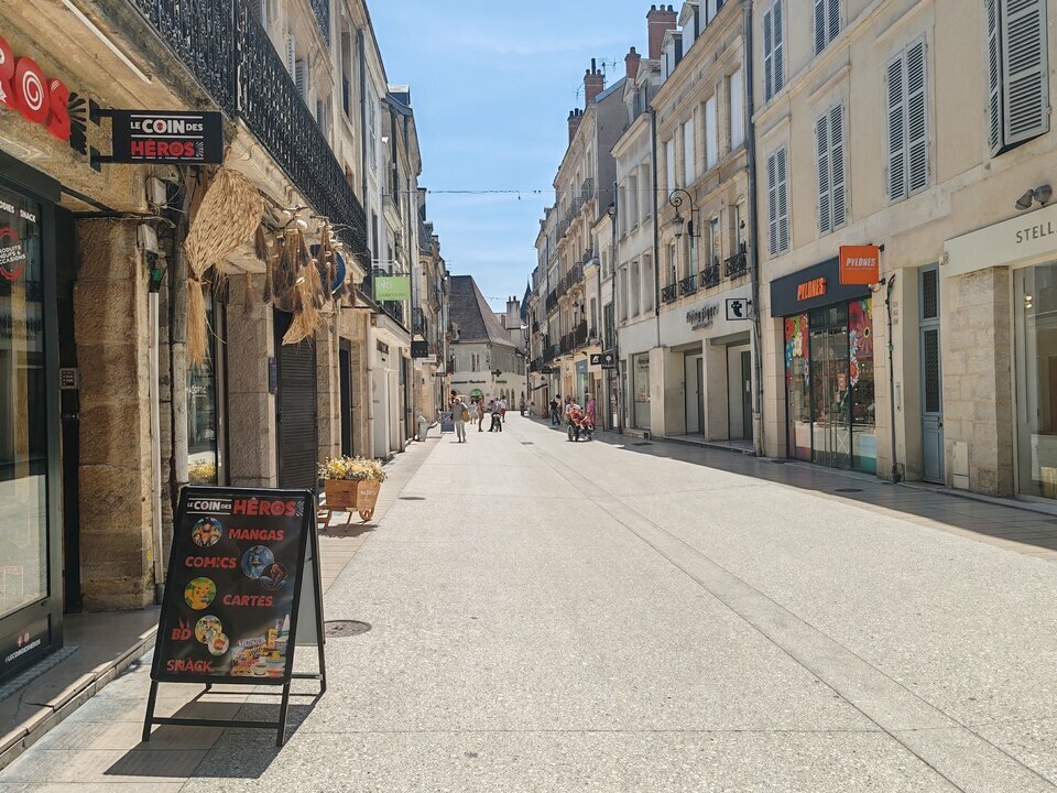 ARTHUR LOYD DIJON LOCATION-LOCAL COMMERCIAL-DIJON-21