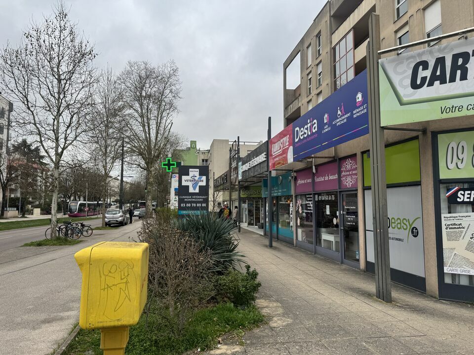 ARTHUR LOYD DIJON LOCATION-LOCAL COMMERCIAL-DIJON-21