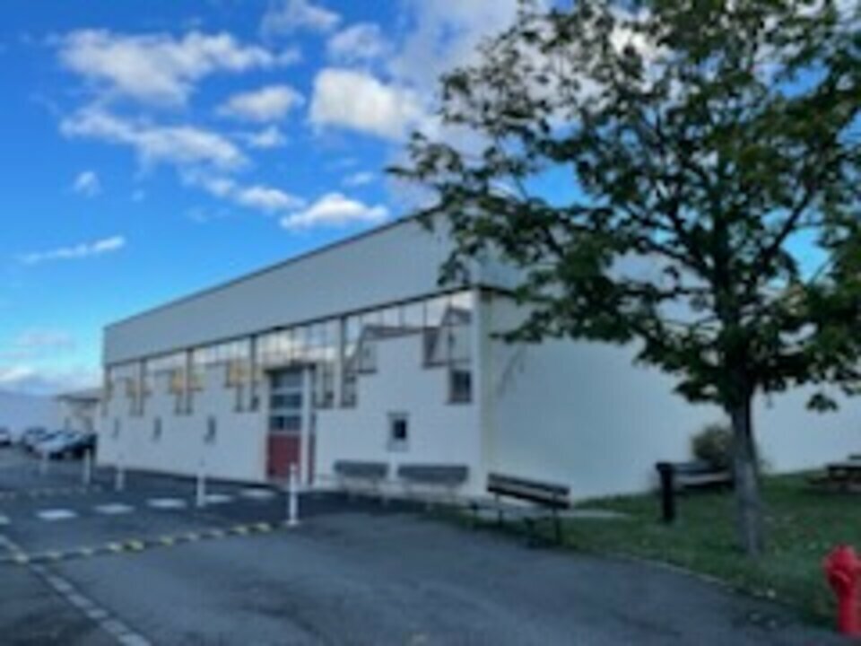 CBRE DESAULLES COLMAR LOCATION-LOCAL D'ACTIVITE-WINTZENHEIM-68
