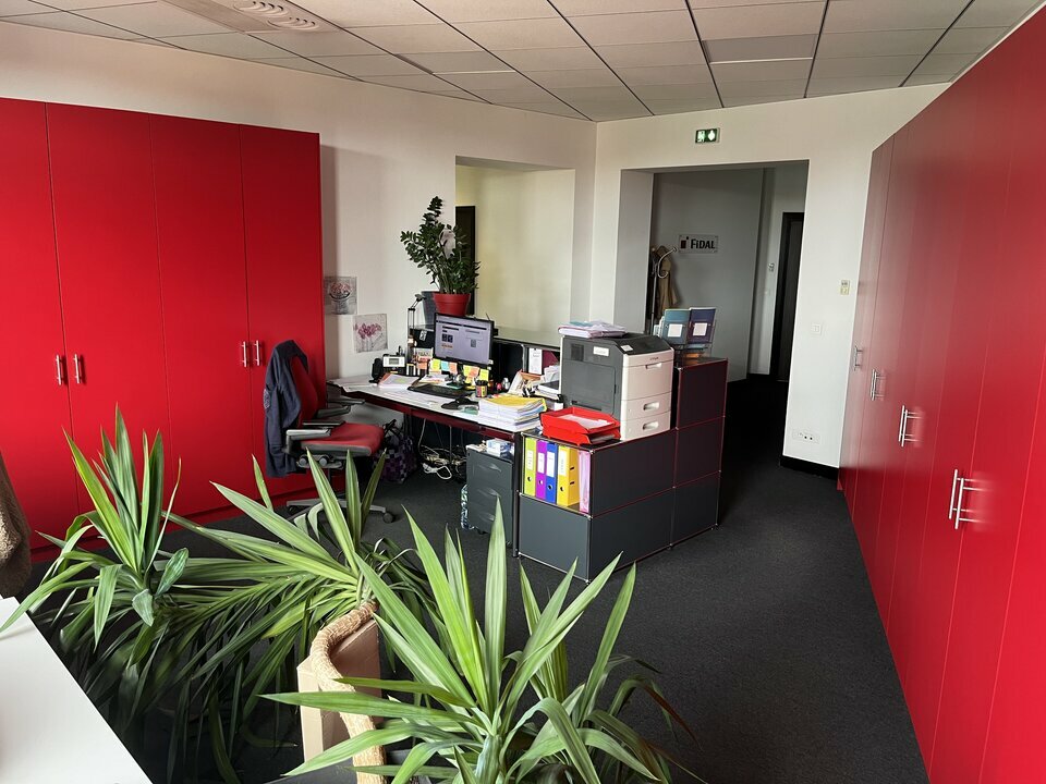 CBRE DESAULLES COLMAR LOCATION-BUREAUX-COLMAR-68