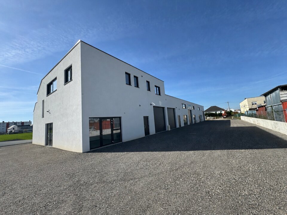 CBRE DESAULLES MULHOUSE LOCATION-LOCAL D'ACTIVITE-RIXHEIM-68