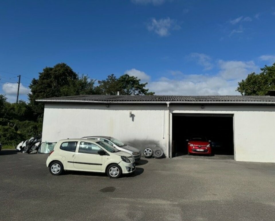 CBRE DESAULLES MULHOUSE VENTE-LOCAL D'ACTIVITE-RIEDISHEIM-68