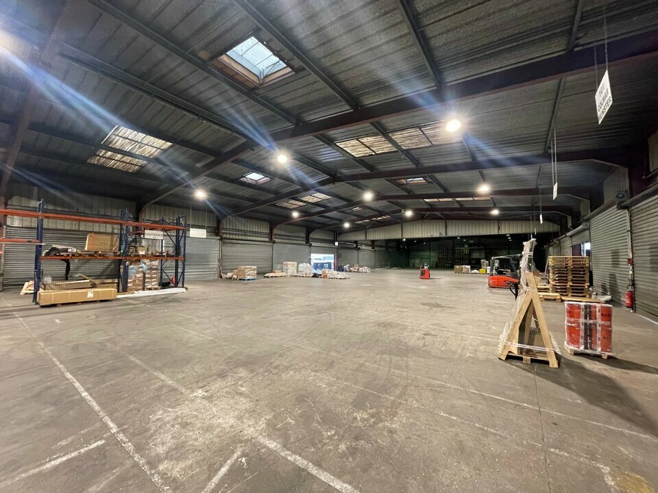 CBRE DESAULLES MULHOUSE LOCATION-LOCAL D'ACTIVITE-ENSISHEIM-68