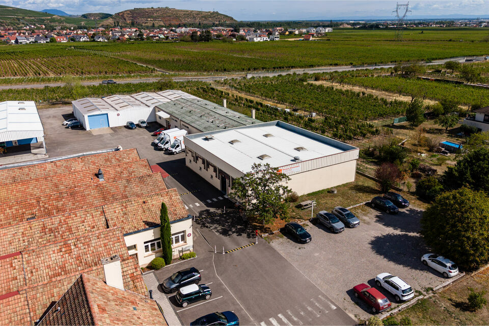 CBRE DESAULLES COLMAR VENTE-LOCAL D'ACTIVITE-WINTZENHEIM-68