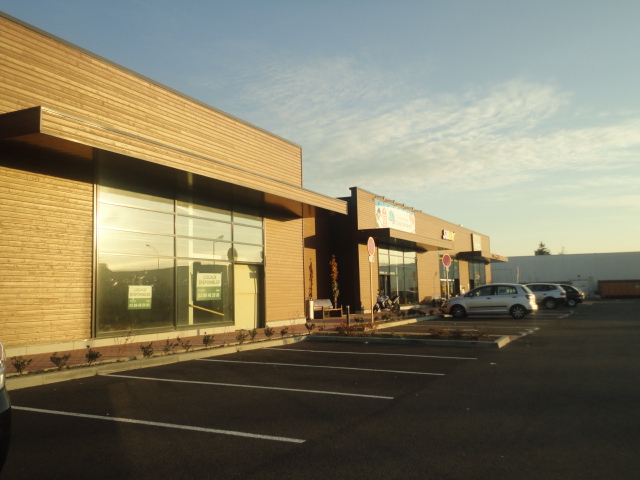 CBRE DESAULLES MULHOUSE LOCATION-LOCAL COMMERCIAL-WITTENHEIM-68
