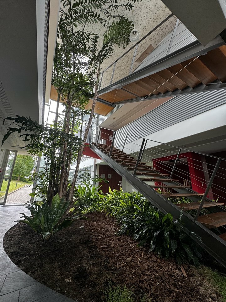 CBRE DESAULLES MULHOUSE VENTE-BUREAUX-MULHOUSE-68