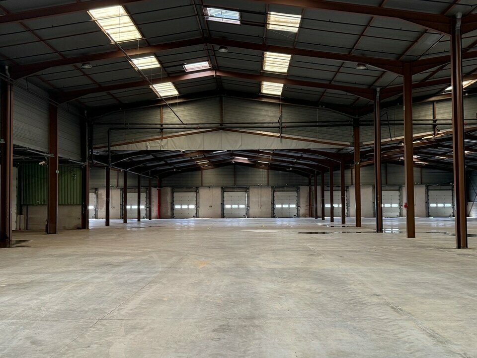 CBRE DESAULLES MULHOUSE LOCATION-ENTREPOT-ROPPENTZWILLER-68