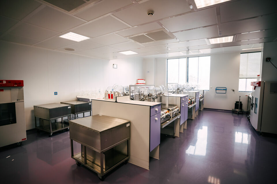 CBRE DESAULLES MULHOUSE VENTE-LOCAL D'ACTIVITE-HUNINGUE-68