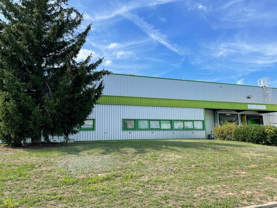CBRE DESAULLES COLMAR LOCATION-LOCAL D'ACTIVITE-COLMAR-68