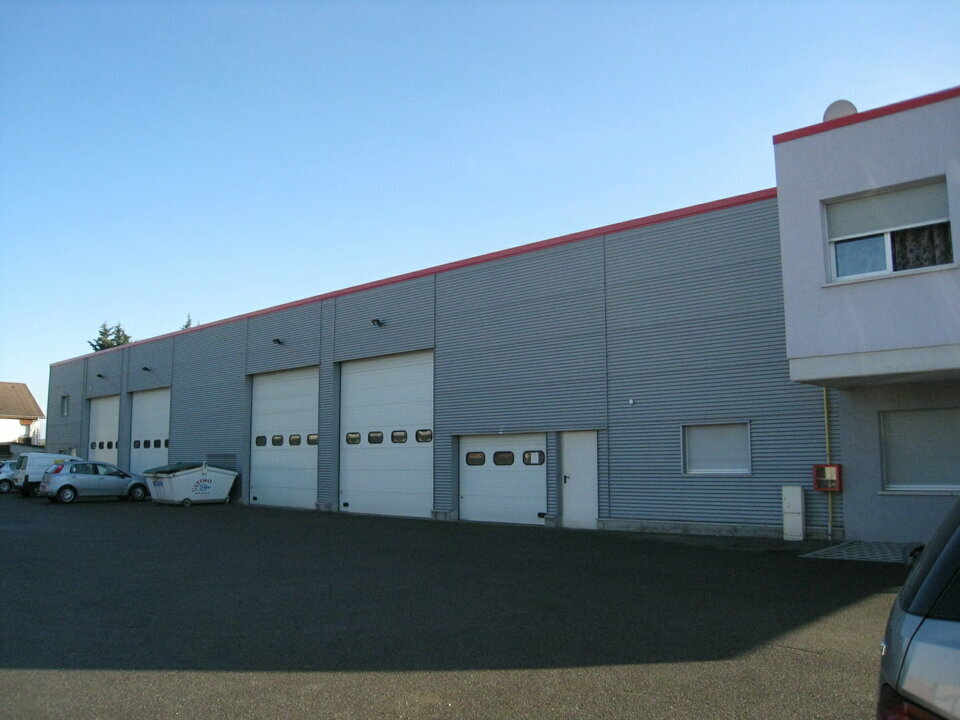 CBRE DESAULLES MULHOUSE LOCATION-LOCAL D'ACTIVITE-WITTENHEIM-68