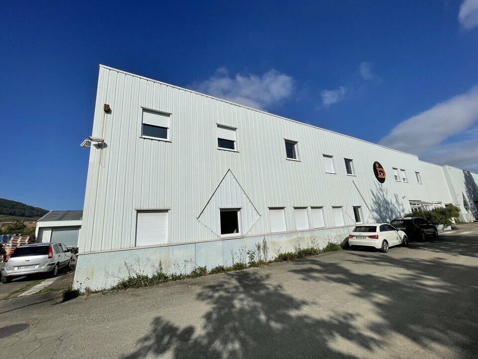 CBRE DESAULLES MULHOUSE VENTE-LOCAL D'ACTIVITE-ISSENHEIM-68