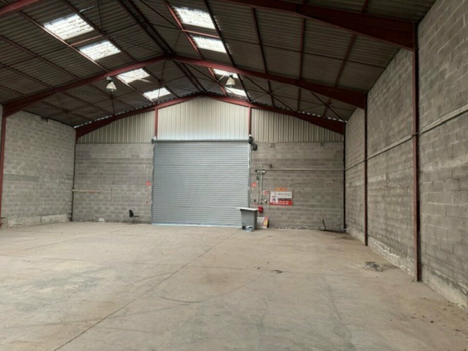 CBRE DESAULLES MULHOUSE VENTE-LOCAL D'ACTIVITE-HABSHEIM-68