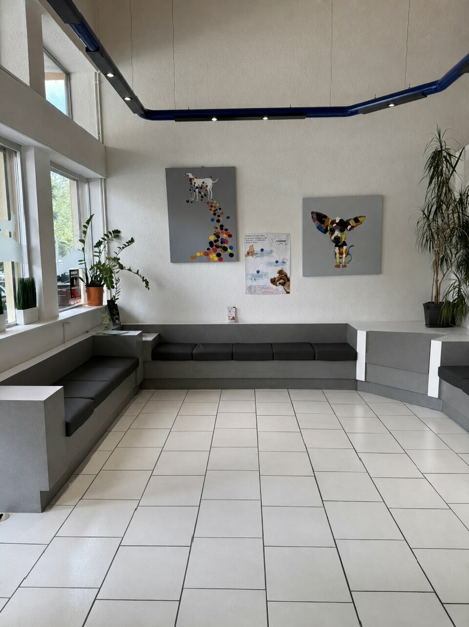 CBRE DESAULLES MULHOUSE VENTE-LOCAL COMMERCIAL-MULHOUSE-68
