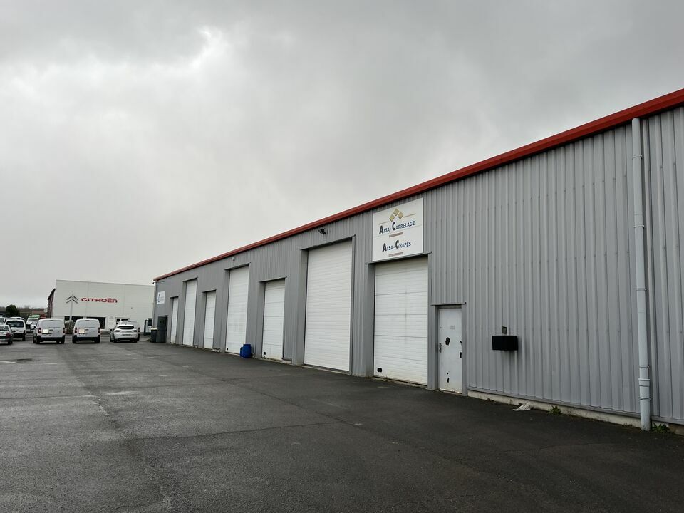 CBRE DESAULLES MULHOUSE LOCATION-LOCAL D'ACTIVITE-WITTENHEIM-68