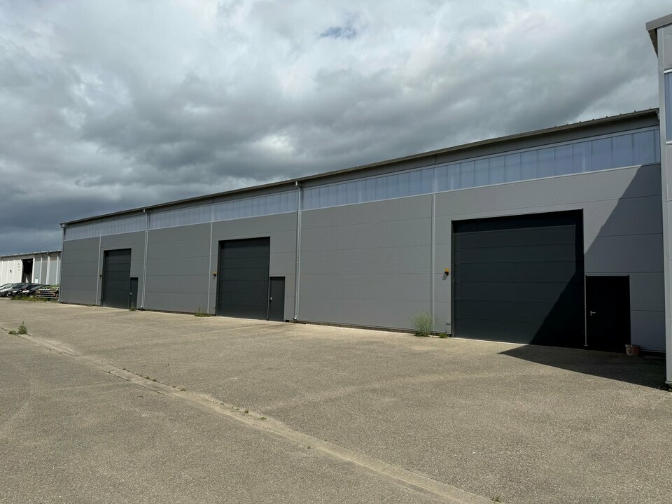 CBRE DESAULLES COLMAR LOCATION-LOCAL D'ACTIVITE-VOLGELSHEIM-68